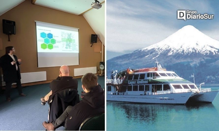 Presentaron estrategia para gestión del Cruce Andino Binacional entre Puerto Varas y Bariloche